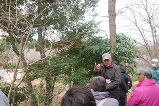 庭園散歩【2024年2月18日】