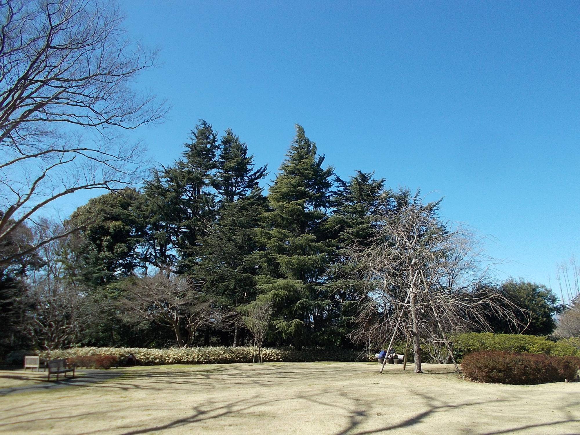 風冷えの一日の写真