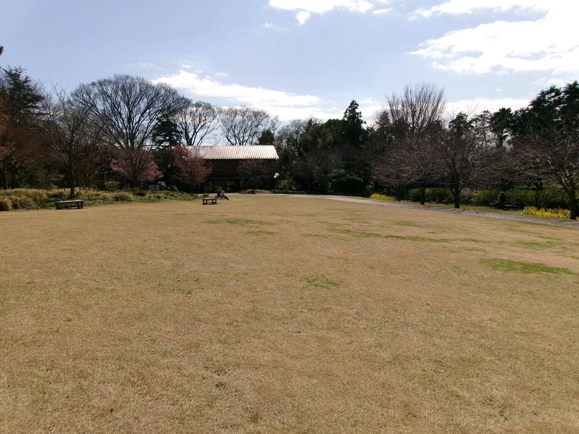 春本番の暖かさの写真