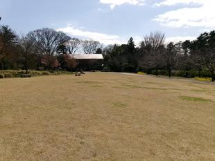 春本番の暖かさ