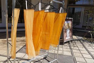 桜染めのワークショップ