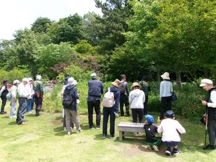 庭園散歩【2024年5月26日】