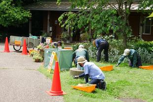 除草ボランティア【2024年5月14日】
