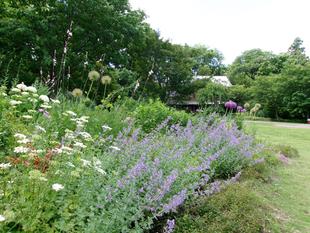 雨上がりの庭園