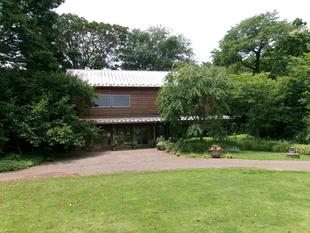 連日、夏日が続いています。