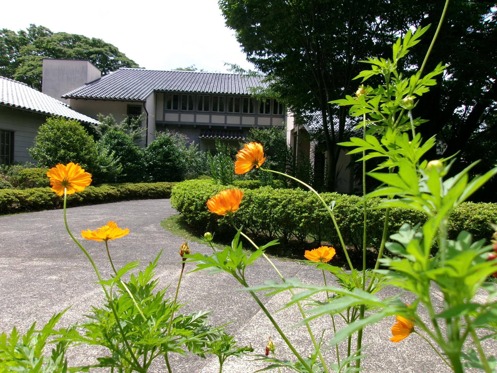 梅雨の晴れ間の写真