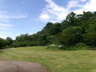 梅雨明け　夏本番