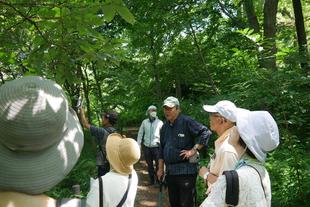 庭園散歩【2024年7月21日】