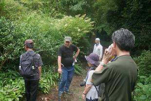 庭園散歩【2024年8月18日】