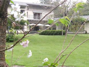 秋 テラス席のひだまりガーデン