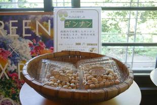 ギンナンの販売はじめました