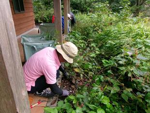 秋の除草ボランティア