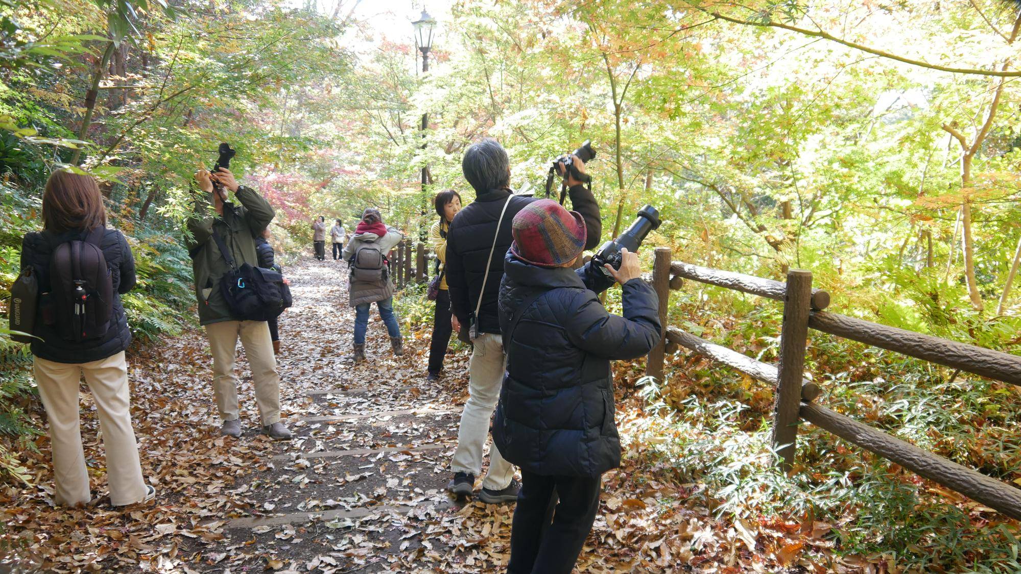 写真教室~俣野別邸庭園の紅葉~の写真