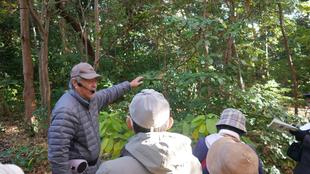 庭園散歩【2024年12月15日】