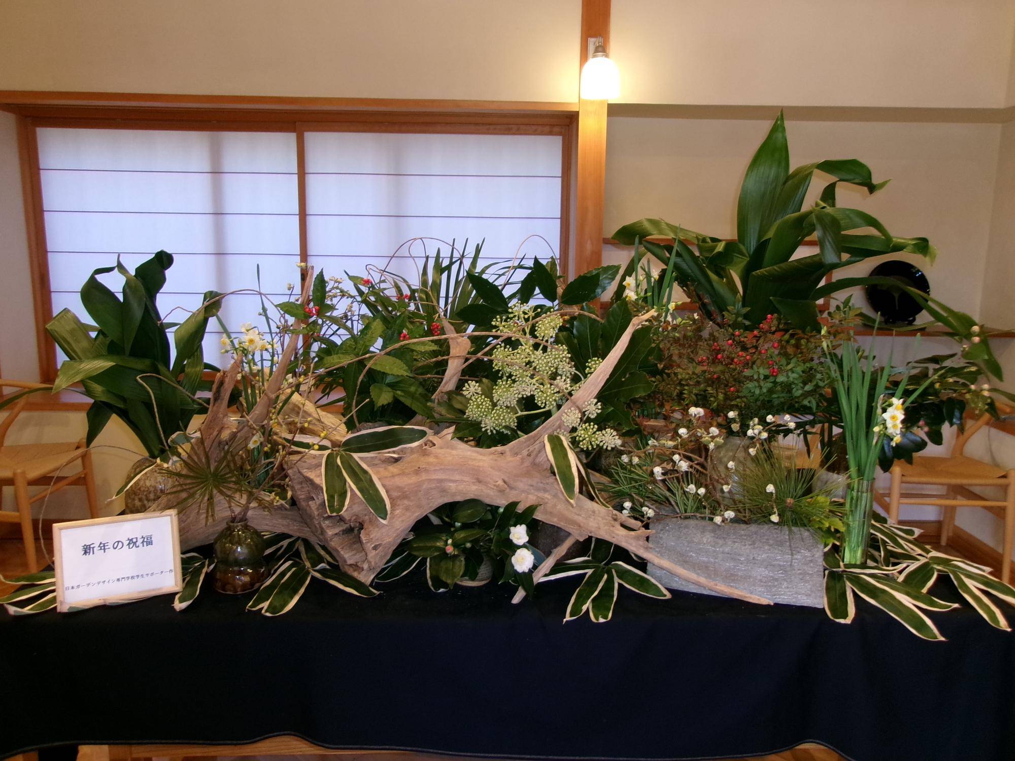新年の祝福の写真