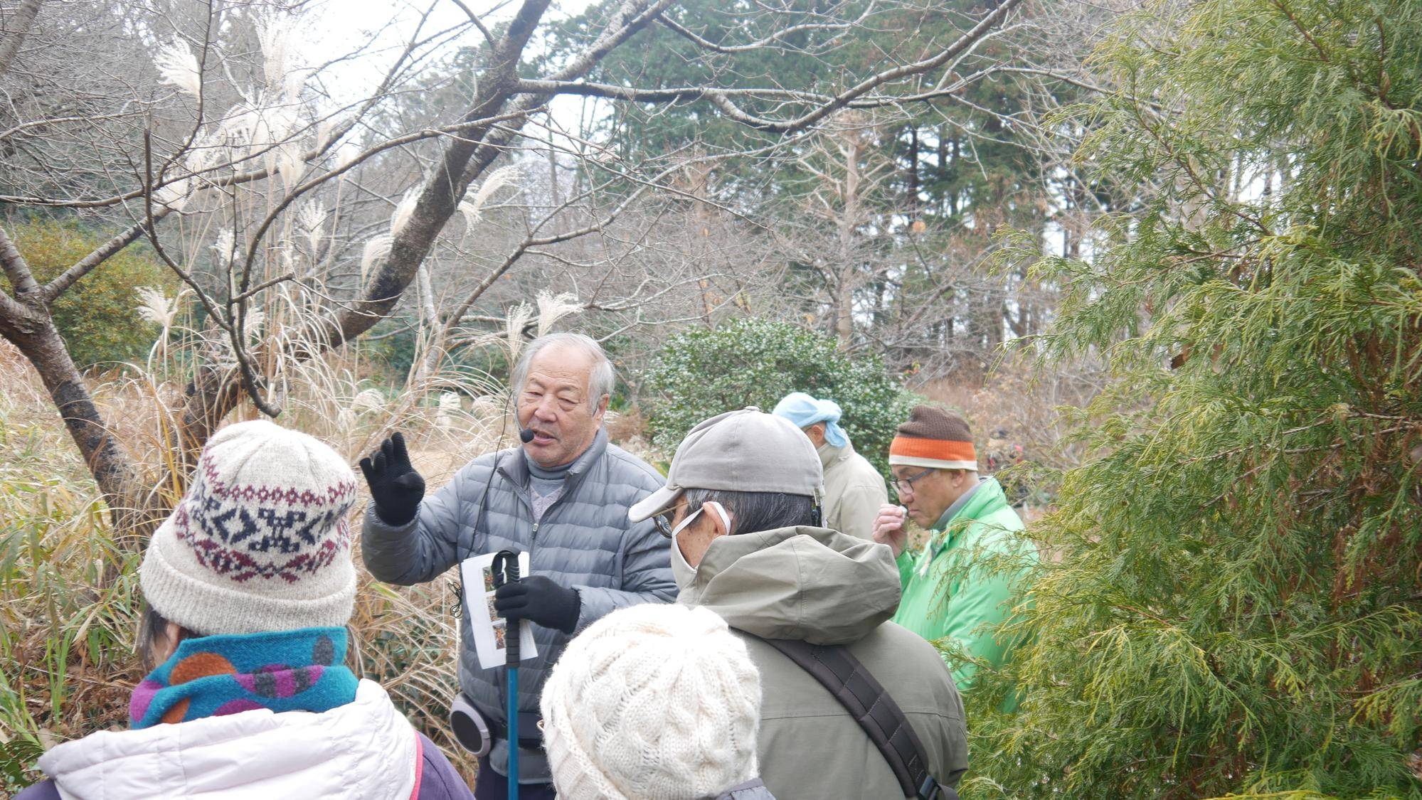 庭園散歩【2025年1月19日】の写真