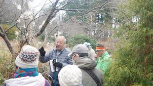 庭園散歩【2025年1月19日】