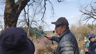 庭園散歩【2025年2月16日】