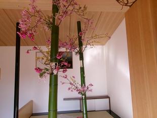 サステナブルIKEBANA展示とワークショップ