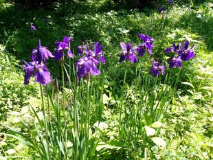 初夏のような休日