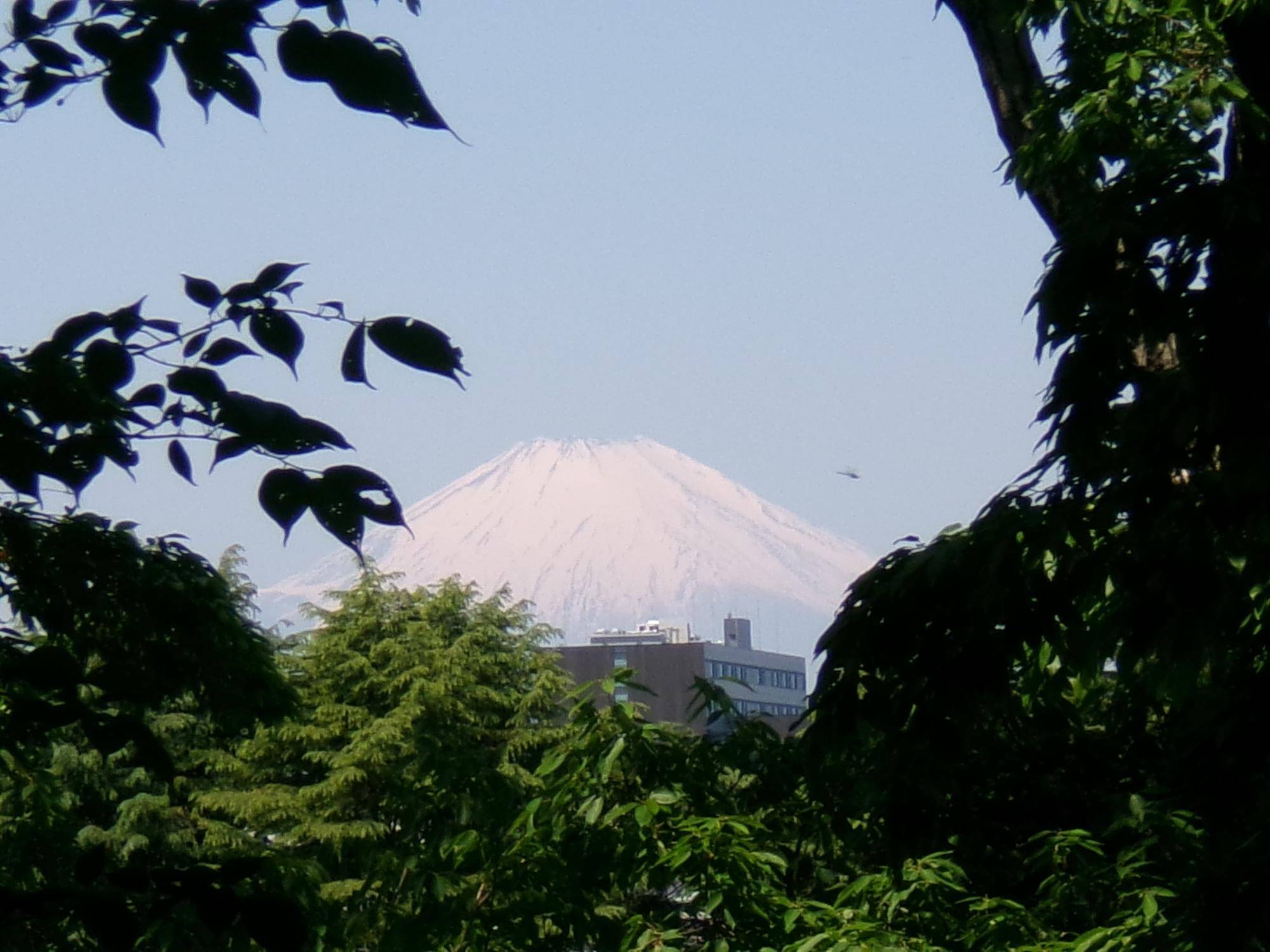 風薫る季節への写真