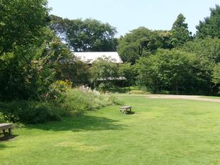 庭園散歩 2025年7月から9月