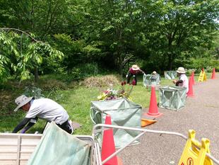 除草ボランティア