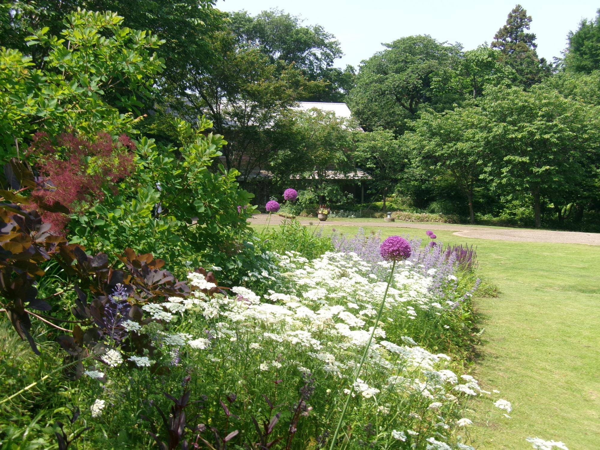 夏日の庭園の写真