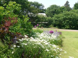 夏日の庭園