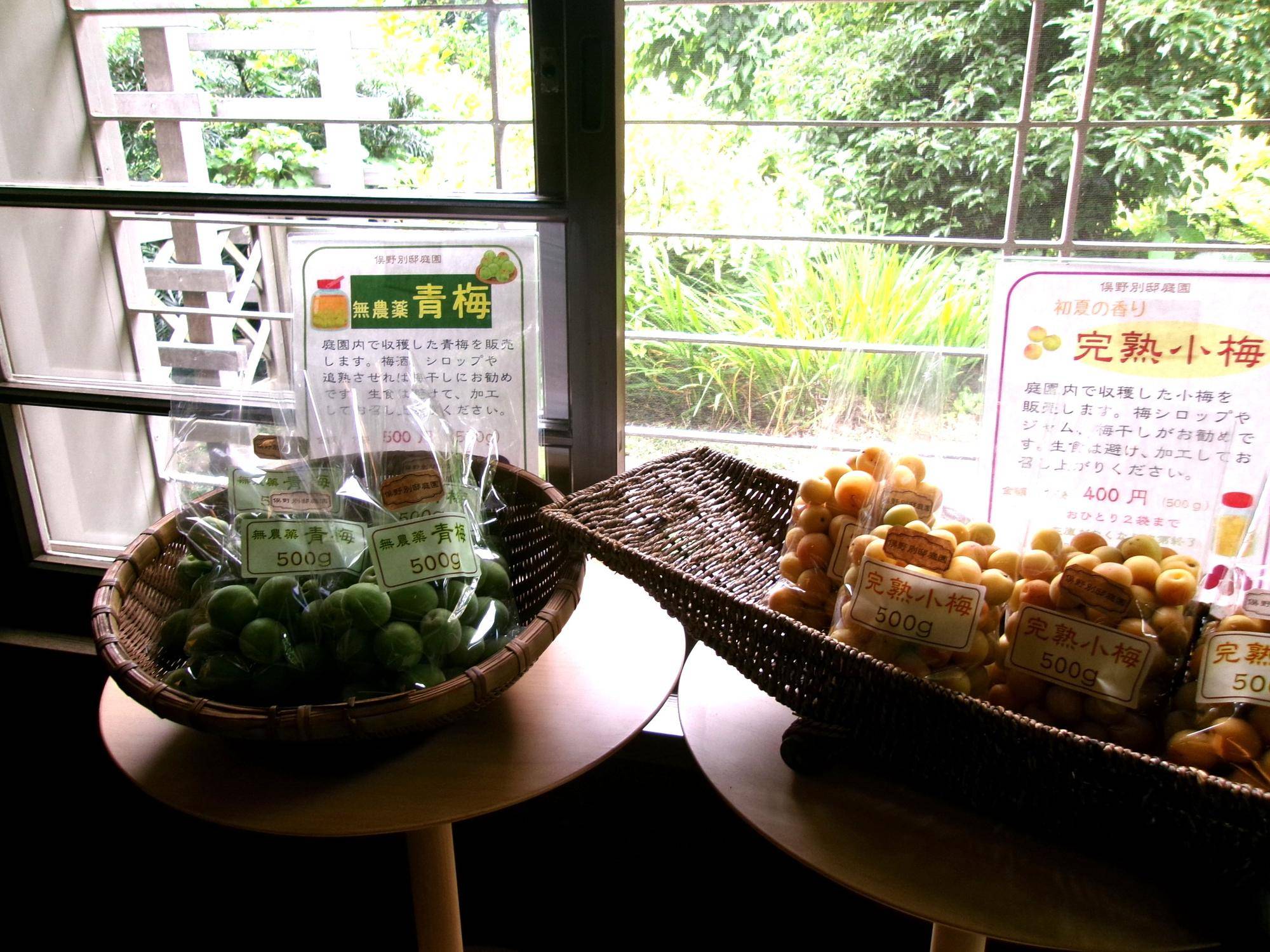 庭園の梅を販売していますの写真