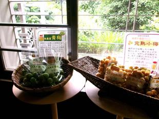 庭園の梅を販売しています
