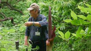 庭園散歩【2025年5月18日】