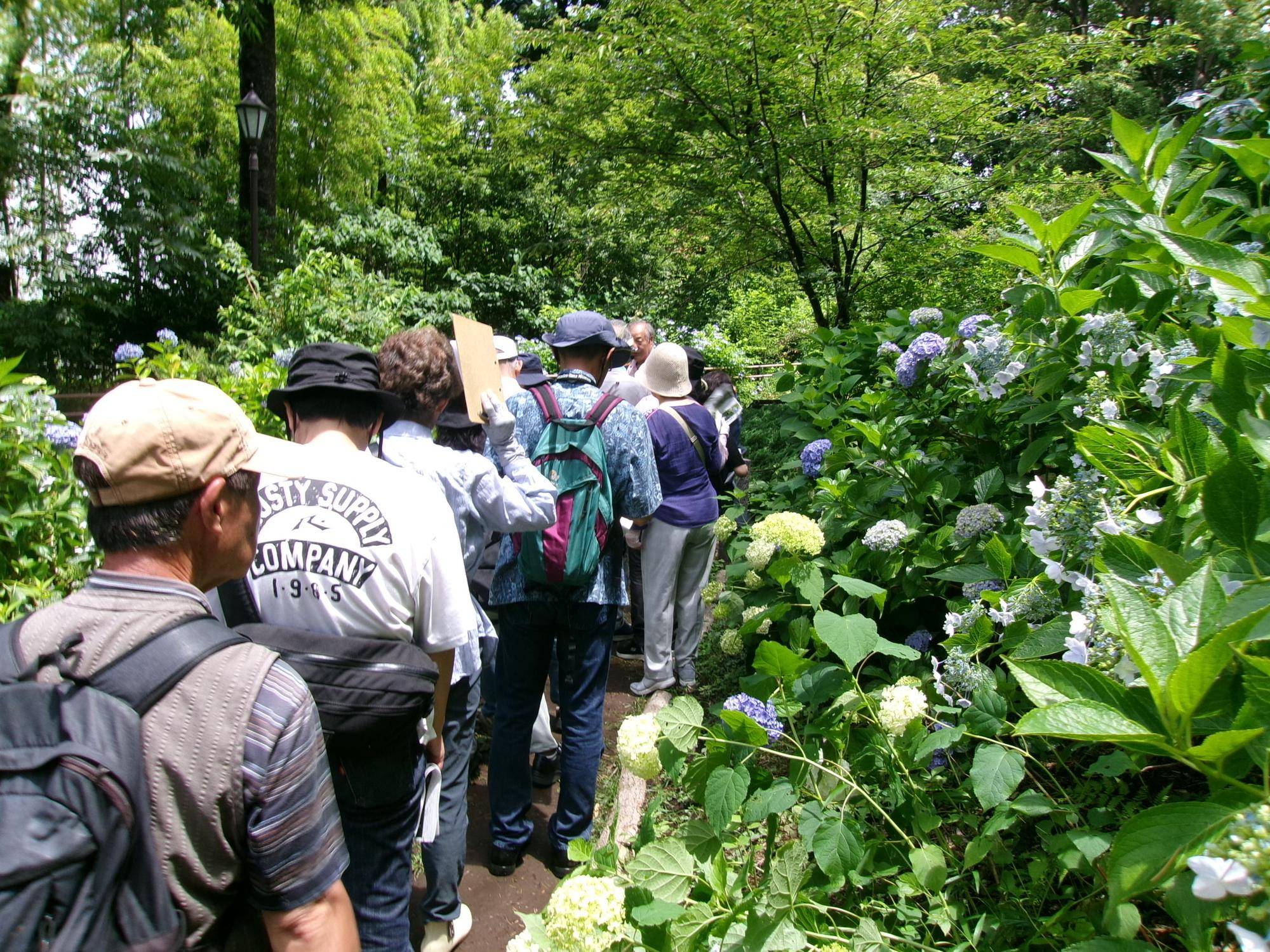 庭園散歩【2025年6月15日】の写真