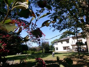 初秋のリビングコンサート