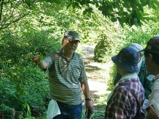 庭園散歩【2025年7月20日】