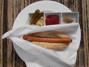 夏のひだまりガーデン