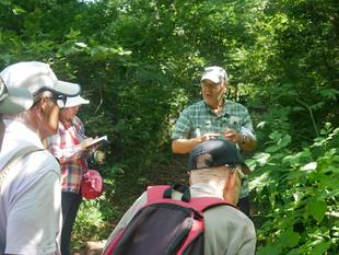 庭園散歩【2025年8月17日】