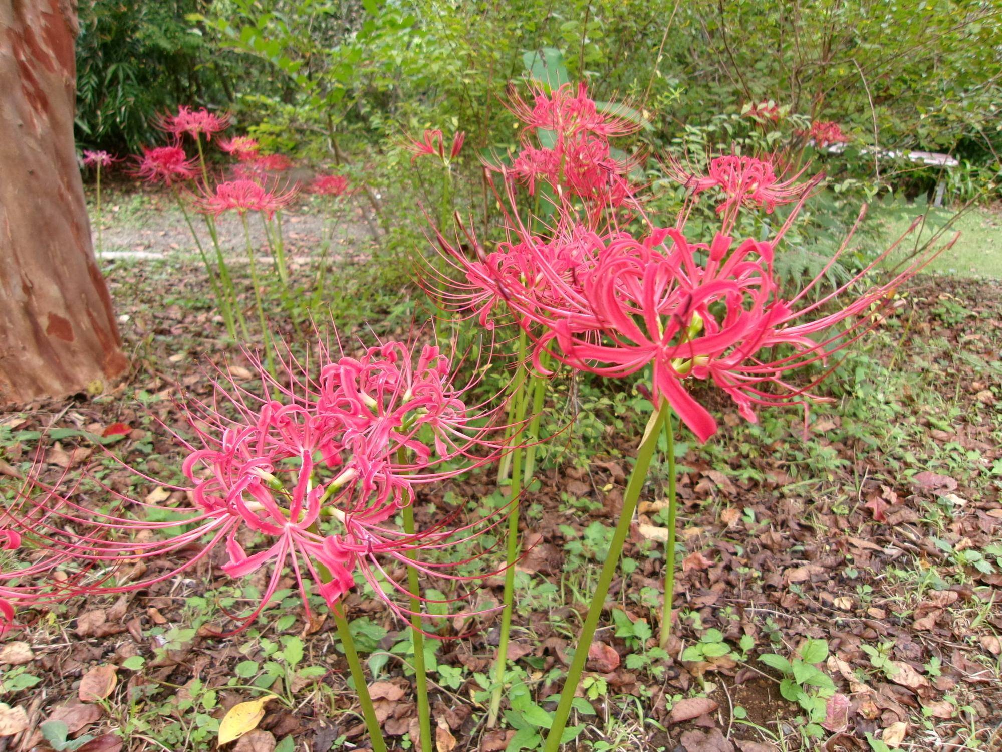 秋分の日の写真