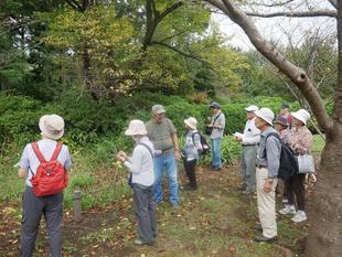 庭園散歩【2025年10月19日】