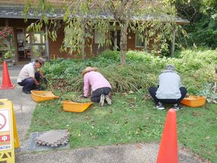 除草ボランティア