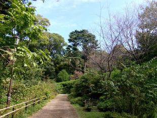 雨上がりの庭園