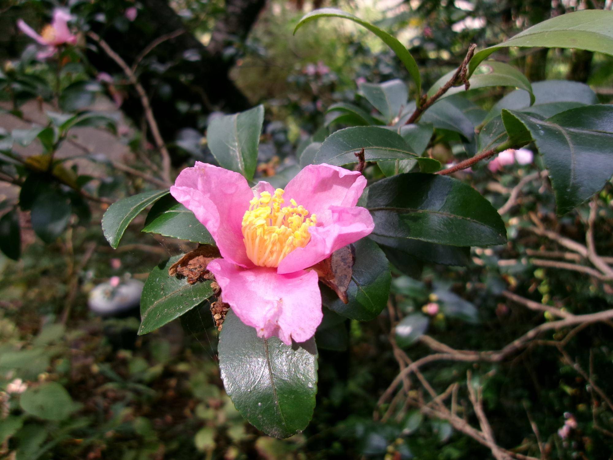 今日から11月の写真