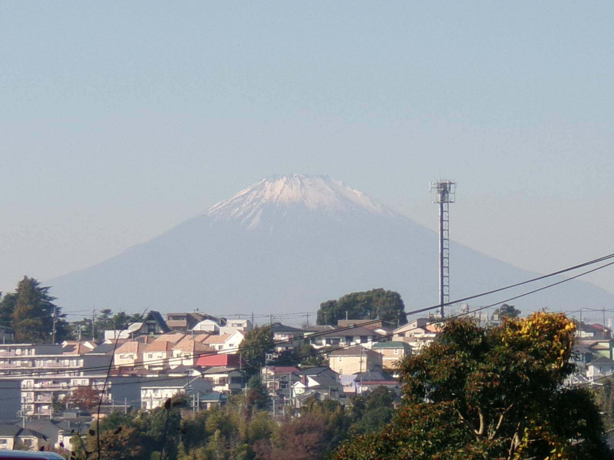 小雪（しょうせつ）の写真