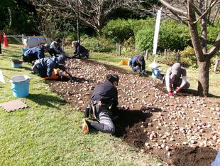 花壇づくりで仲間になろう！グリーンなまちづくりを目指して
