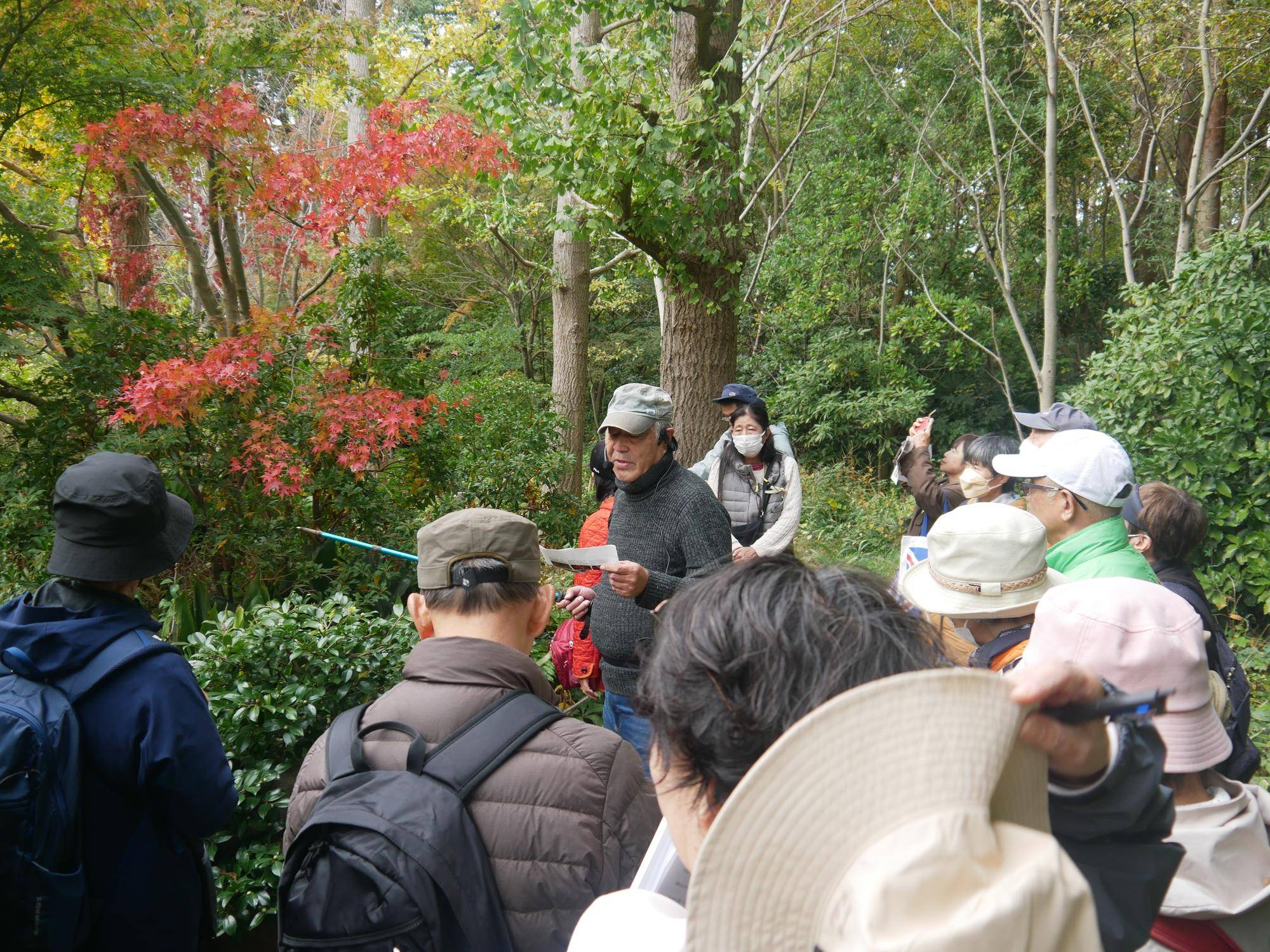 庭園散歩【2025年11月16日】の写真