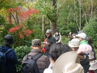 庭園散歩【2025年11月16日】