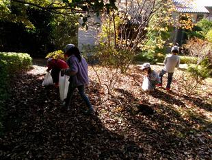 秋の遠足 ドングリ拾い