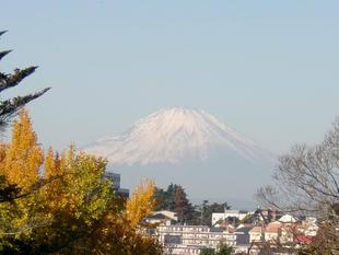 新春のコンサート