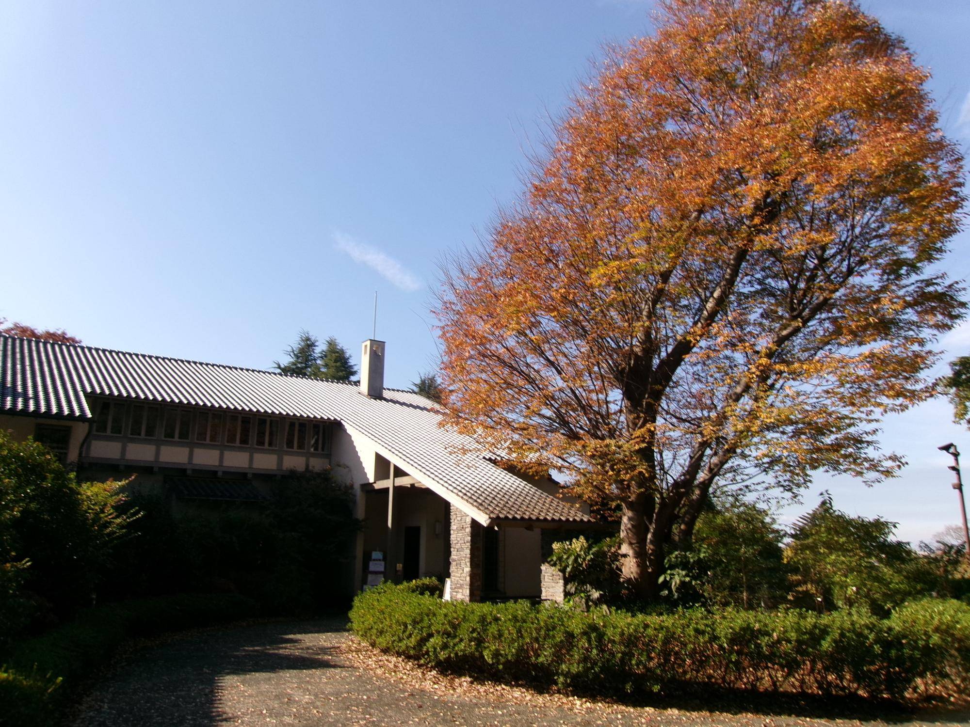 リビングコンサート　～ClassicからBrasilまで～の写真