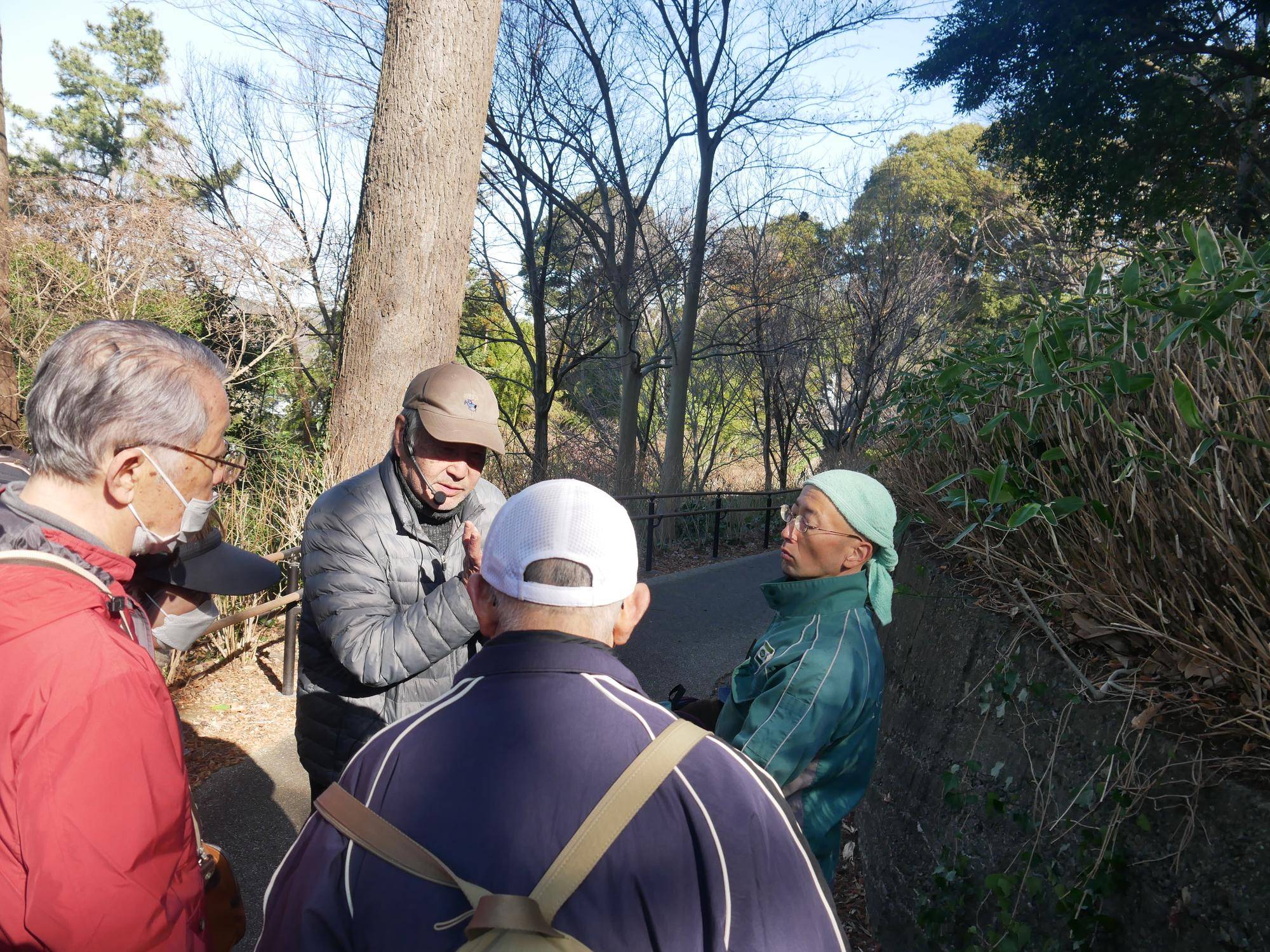 庭園散歩【2026年１月18日】の写真